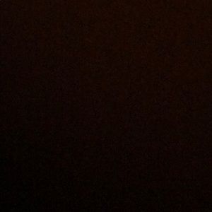 Meet your Posher, Dante